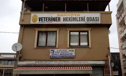 Veteriner Hekimler Odası’nda genel kurul heyecanı!