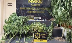 Sapanca'da uyuşturucu operasyonu! 2 gözaltı