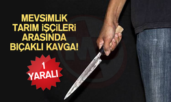 Mevsimlik tarım işçileri arasında bıçaklı kavga!