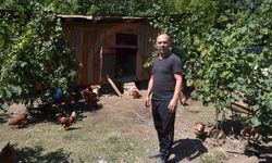 Dükkanını kapattı, köyünde hobi olarak başladı