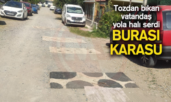 Tozdan bıkan vatandaş yola halı serdi