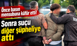 Hırsızlık zanlısı basına küfür etti!
