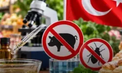 Domuz ve böcek kaynaklı aroma vericiler yasaklandı