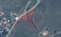 Ferizli Belediyesi 2 arsayı satışa çıkardı!