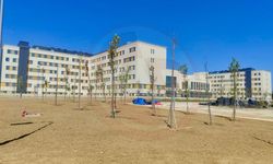 Aslıyüksek Sakarya’da incelemelerde bulundu