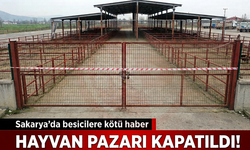 HAYVAN PAZARI KAPATILDI!
