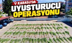 Karasu’da uyuşturucu operasyonu