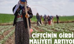 Çiftçinin girdi maliyeti artıyor