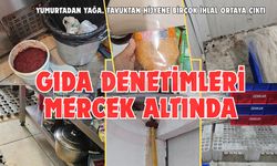Gıda denetimleri mercek altında!