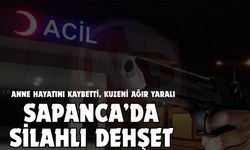 16 yaşındaki genç annesini tabancayla vurdu