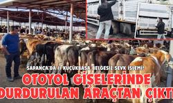 SAPANCA’DA 11 KÜÇÜKBAŞA BELGESİZ SEVK İŞLEMİ!