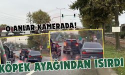 Köpeğin vatandaşı ayağından ısırıp sürüklediği anlar kamerada