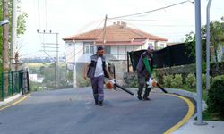 Ekipler sahada, otlar biçiliyor, çevre temizleniyor