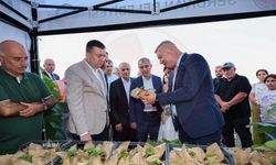 Serdivan İncir Festivali bugün de ilgi odağı olacak