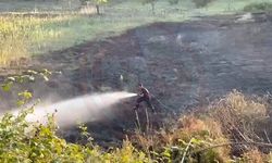 Tarlada ateş yakıldı: 4 dönüm alan zarar gördü