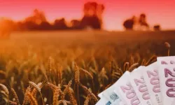 TMO'dan üreticiye 4,5 milyar TL'lik ödeme!