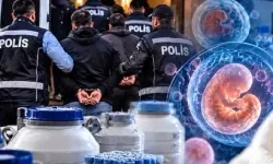 14 ilde üreme hücresi ve doku ticareti operasyonu!