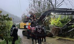 Taşan dere mahalleyi sular altında bıraktı