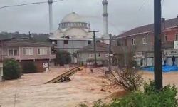 Darıçayırı yine sular altında
