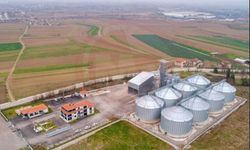 Lisanslı depoculukta yeni dönem!