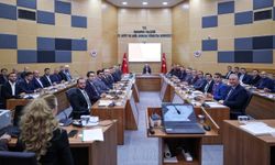 Sakarya’da hayvan bakımevi seferberliği!