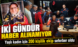 Yaşlı kadın için 200 kişilik ekip seferber oldu