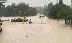 İMO Sakarya’dan taşkın uyarısı