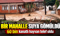 BİR MAHALLE SUYA GÖMÜLDÜ!