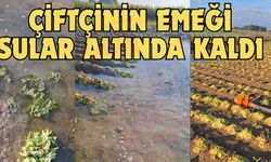 Çiftçinin emeği sular altında kaldı