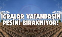 Tarla, arsa ve daireler ihaleye çıkıyor!