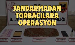 Sakarya’da jandarmadan torbacılara operasyon