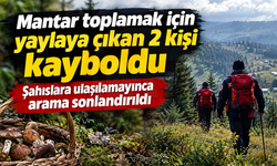 Mantar toplamak için yaylaya çıkan 2 kişi kayboldu