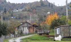 Dikmen Yaylası sonbaharın renklerine büründü