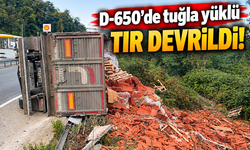 D-650'de tuğla yüklü TIR devrildi!