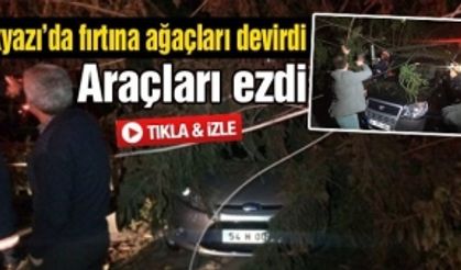 Akyazı'da fırtına ağaçları devirdi