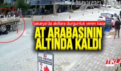 At arabasının altında kaldı