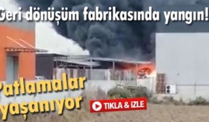 Geri dönüşüm fabrikasında yangın!