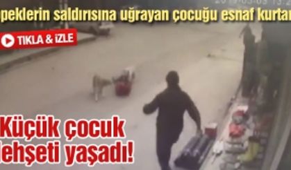 Küçük çocuk dehşeti yaşadı!