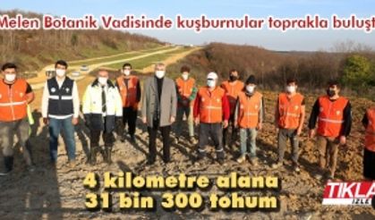 Melen Botanik Vadisinde kuşburnular toprakla buluştu