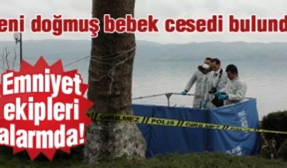 Sakarya'da yeni doğmuş bebek cesedi bulundu