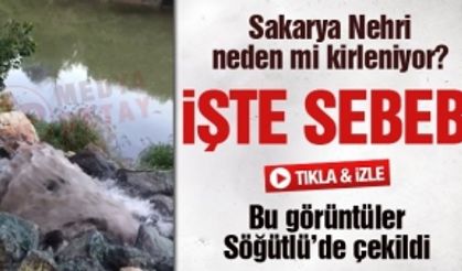 Sakarya Nehri neden mi kirleniyor? İşte sebebi