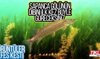 Sapanca Gölünün dibini ilk kez böyle göreceksiniz