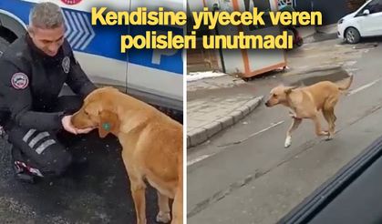 Kendisine yiyecek veren polisleri unutmadı