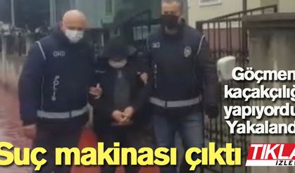 Göçmen kaçakçılığı yapıyordu! Yakalandı