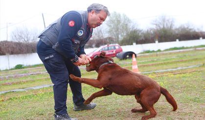 Canları kurtaracak köpekler en zor güne hazırlanıyor