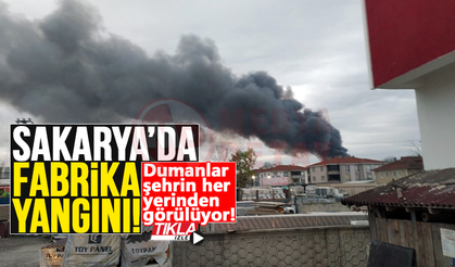 Sakarya'da korkutan fabrika yangını!