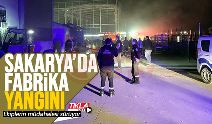 Sakarya'da fabrika yangını!