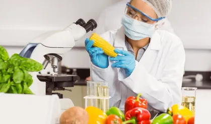 Mikotoksin analizlerinde AB uyumlu yeni kriterler netleşti