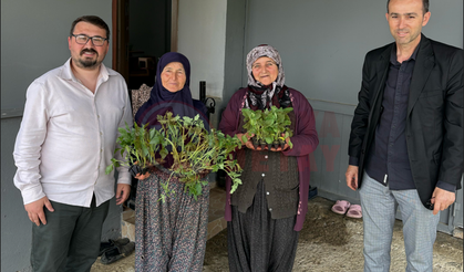 CHP'den çiftçiye 30 bin fide desteği!