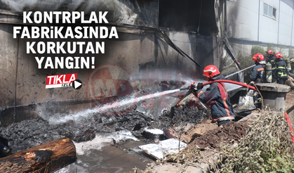 Kontrplak fabrikasında korkutan yangın!